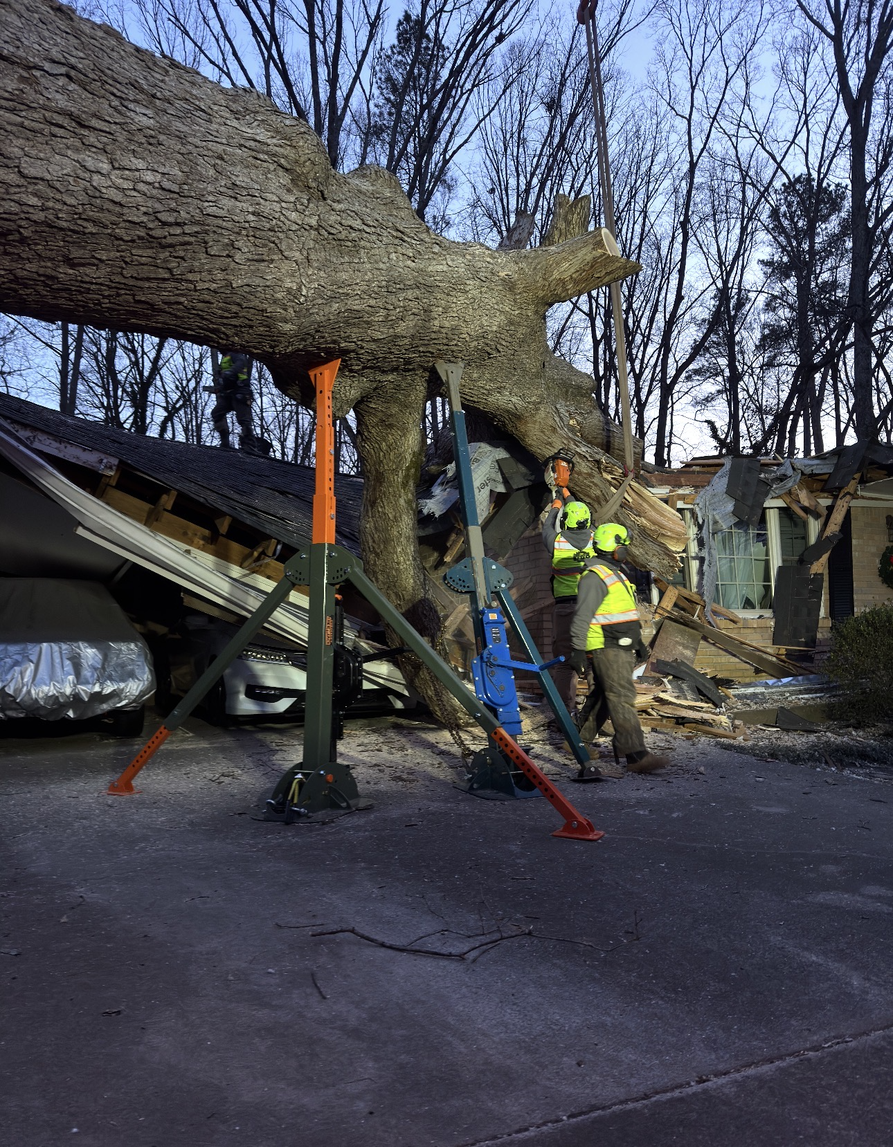 Large tree supported and lifted by Emergency Tree Jacks