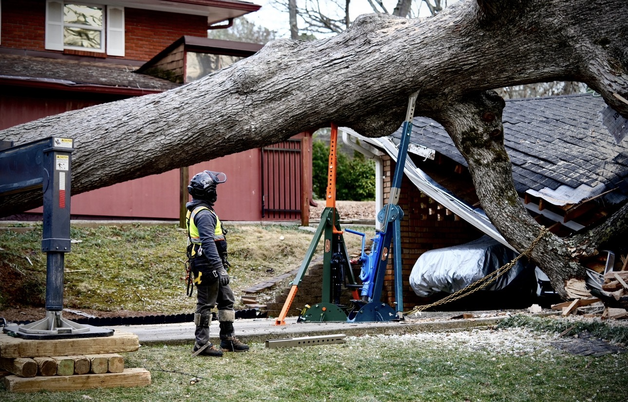 Person in safety gear standing near a large fallen tree blocking a house. The log is lifted and supported by two Emergency Tree Jacks.